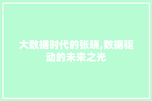 大数据时代的张晓,数据驱动的未来之光