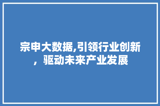 宗申大数据,引领行业创新，驱动未来产业发展