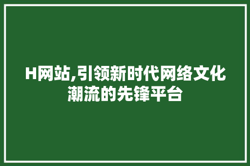 H网站,引领新时代网络文化潮流的先锋平台