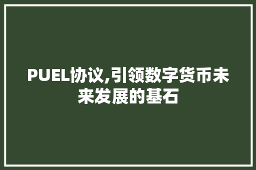 PUEL协议,引领数字货币未来发展的基石
