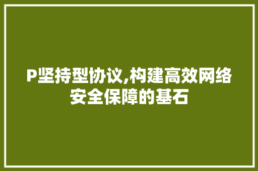 P坚持型协议,构建高效网络安全保障的基石