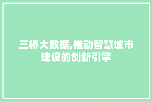 三桥大数据,推动智慧城市建设的创新引擎