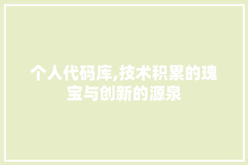个人代码库,技术积累的瑰宝与创新的源泉