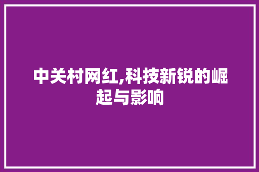 中关村网红,科技新锐的崛起与影响