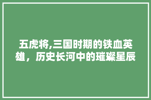 五虎将,三国时期的铁血英雄，历史长河中的璀璨星辰