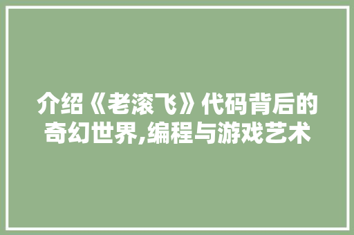 介绍《老滚飞》代码背后的奇幻世界,编程与游戏艺术的完美融合