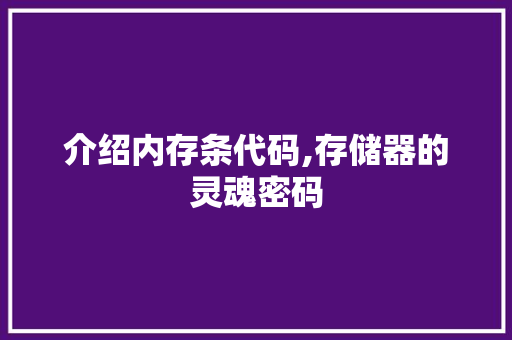 介绍内存条代码,存储器的灵魂密码