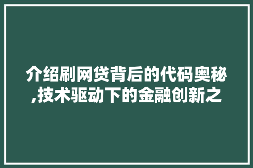 介绍刷网贷背后的代码奥秘,技术驱动下的金融创新之路