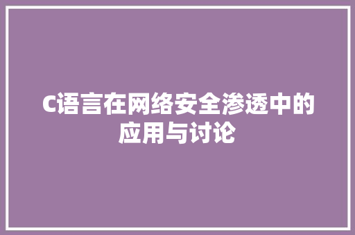C语言在网络安全渗透中的应用与讨论