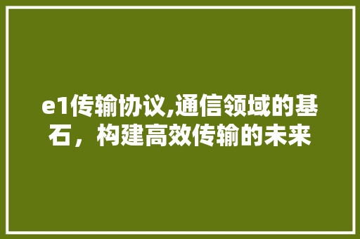 e1传输协议,通信领域的基石，构建高效传输的未来