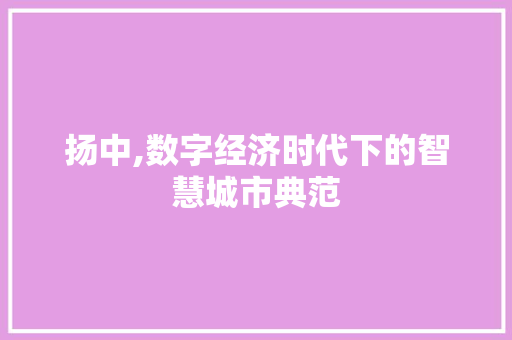 扬中,数字经济时代下的智慧城市典范