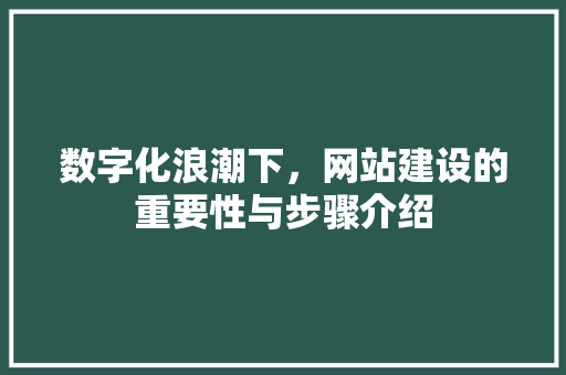 数字化浪潮下，网站建设的重要性与步骤介绍