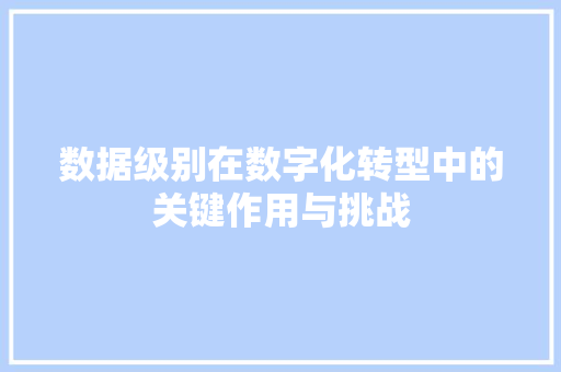 数据级别在数字化转型中的关键作用与挑战
