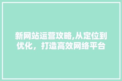新网站运营攻略,从定位到优化，打造高效网络平台