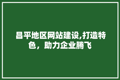 昌平地区网站建设,打造特色，助力企业腾飞