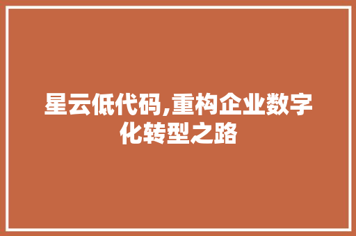 星云低代码,重构企业数字化转型之路