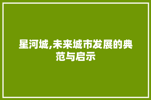 星河城,未来城市发展的典范与启示