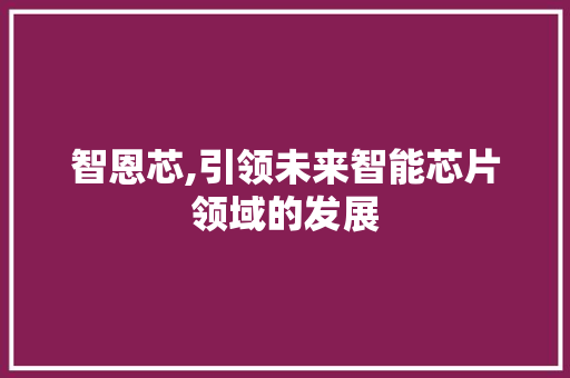 智恩芯,引领未来智能芯片领域的发展