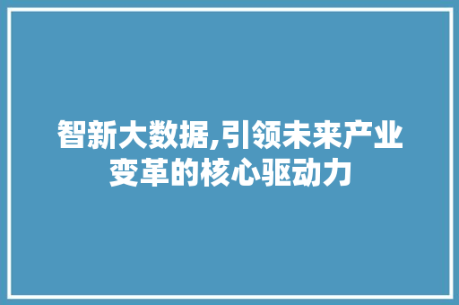 智新大数据,引领未来产业变革的核心驱动力
