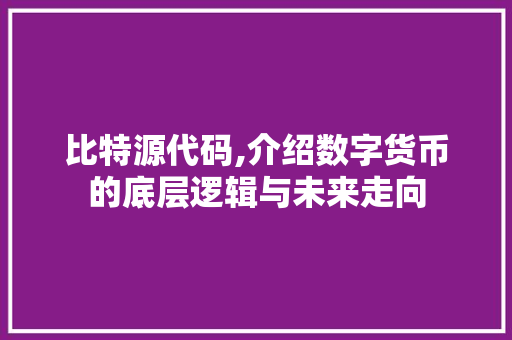 比特源代码,介绍数字货币的底层逻辑与未来走向