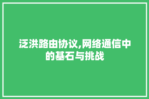 泛洪路由协议,网络通信中的基石与挑战