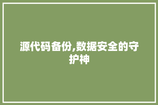 源代码备份,数据安全的守护神