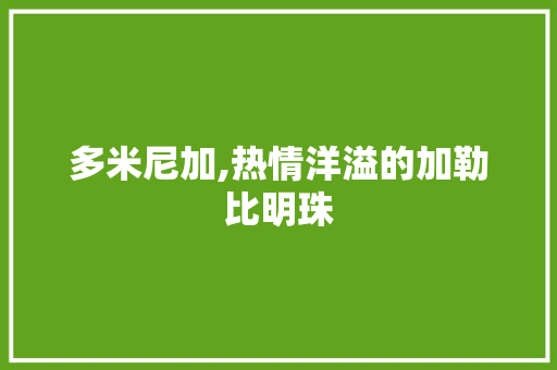 多米尼加,热情洋溢的加勒比明珠