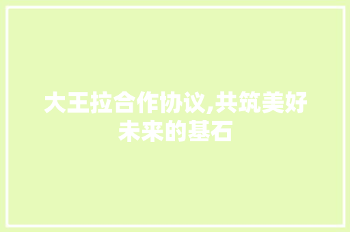 大王拉合作协议,共筑美好未来的基石