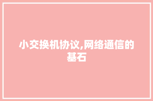 小交换机协议,网络通信的基石