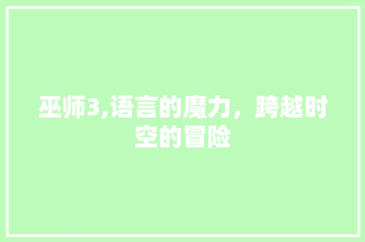 巫师3,语言的魔力，跨越时空的冒险