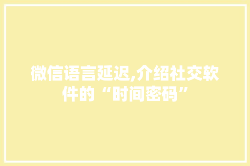 微信语言延迟,介绍社交软件的“时间密码”