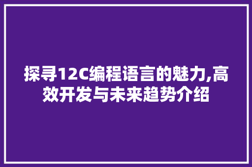探寻12C编程语言的魅力,高效开发与未来趋势介绍