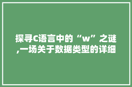 探寻C语言中的“w”之谜,一场关于数据类型的详细讨论