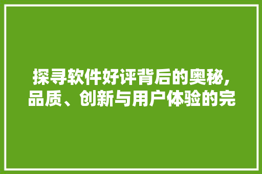 探寻软件好评背后的奥秘,品质、创新与用户体验的完美融合