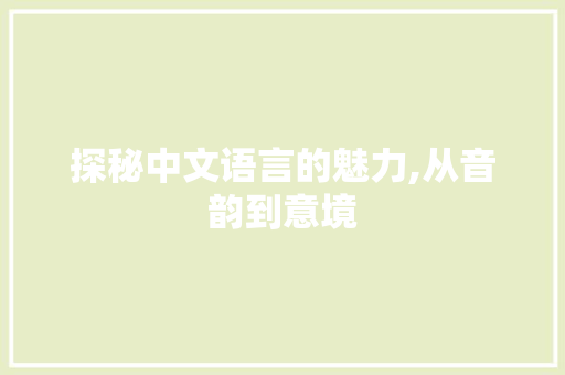 探秘中文语言的魅力,从音韵到意境