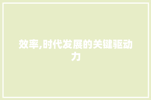 效率,时代发展的关键驱动力