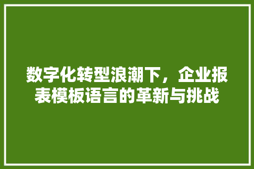数字化转型浪潮下，企业报表模板语言的革新与挑战