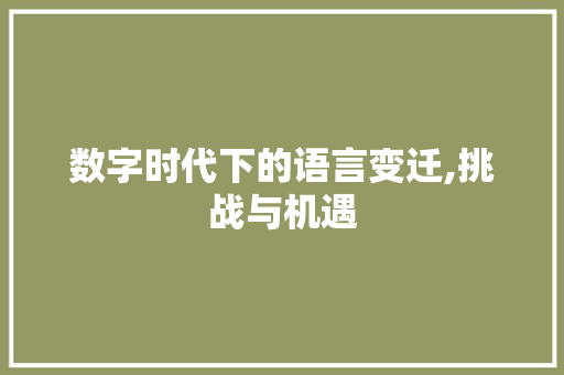 数字时代下的语言变迁,挑战与机遇