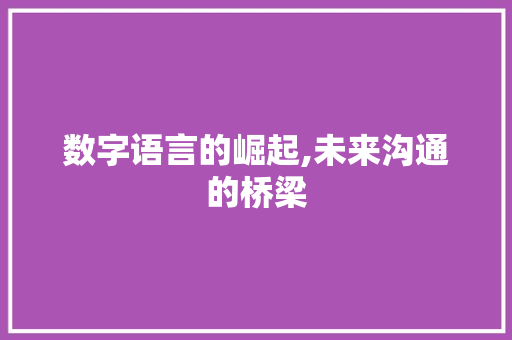 数字语言的崛起,未来沟通的桥梁