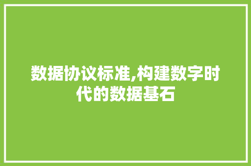 数据协议标准,构建数字时代的数据基石
