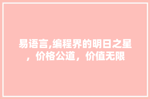 易语言,编程界的明日之星，价格公道，价值无限