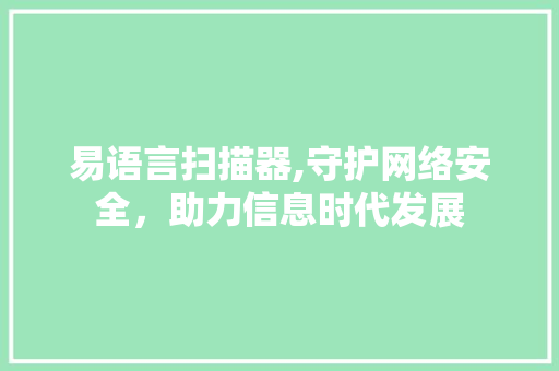 易语言扫描器,守护网络安全，助力信息时代发展