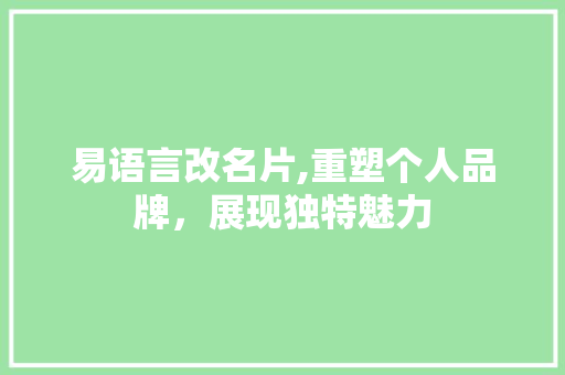 易语言改名片,重塑个人品牌，展现独特魅力