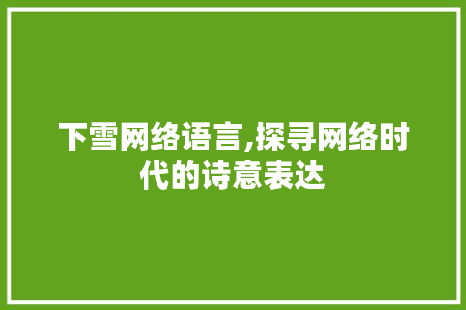 下雪网络语言,探寻网络时代的诗意表达