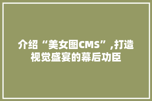 介绍“美女图CMS”,打造视觉盛宴的幕后功臣