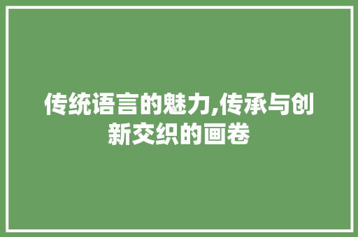 传统语言的魅力,传承与创新交织的画卷