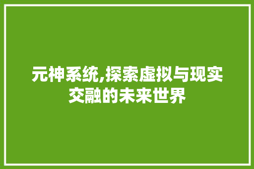 元神系统,探索虚拟与现实交融的未来世界