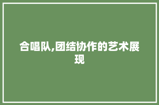 合唱队,团结协作的艺术展现