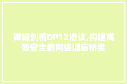 详细剖析DP12协议,构建高效安全的网络通信桥梁