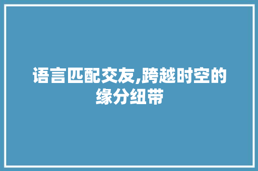 语言匹配交友,跨越时空的缘分纽带